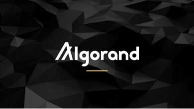 Algorand (ALGO) là gì? Thông tin chi tiết về đồng tiền điện tử ALGO