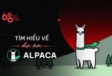Alpaca Finance (ALPACA) là gì? Tìm hiểu về dự án Alpaca Finance – kẻ thách thức Alpha.Finance