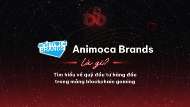 Animoca Brands là gì? Tìm hiểu về quỹ đầu tư hàng đầu trong mảng blockchain gaming