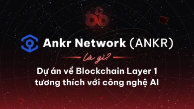 Ankr Network (ANKR) là gì? Dự án về Blockchain Layer 1 tương thích với công nghệ AI