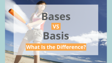 Bases vs Basis: What's the Difference?