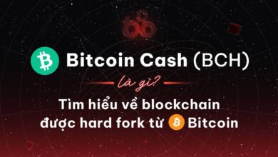 Bitcoin Cash (BCH) là gì? Tìm hiểu về blockchain được hard fork từ Bitcoin