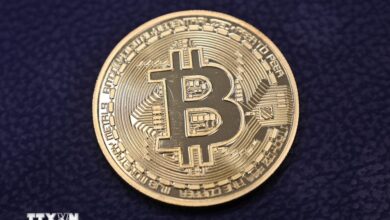 Nhìn lại hành trình "lên đỉnh" của đồng tiền kỹ thuật số Bitcoin