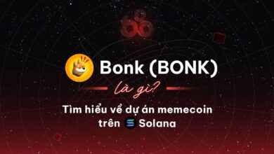 Bonk (BONK) là gì? Tìm hiểu về dự án memecoin trên Solana