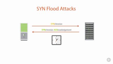 12 loại tấn công DDoS | Tấn công từ chối dịch vụ DDoS