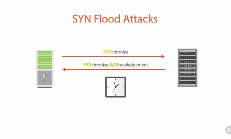 12 loại tấn công DDoS | Tấn công từ chối dịch vụ DDoS