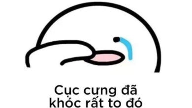 Lưu về máy ngay top những meme buồn cực cute