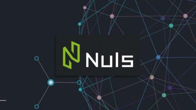 Nuls là gì? Tổng quan về đồng tiền ảo kỹ thuật số Nuls Coin (NULS)