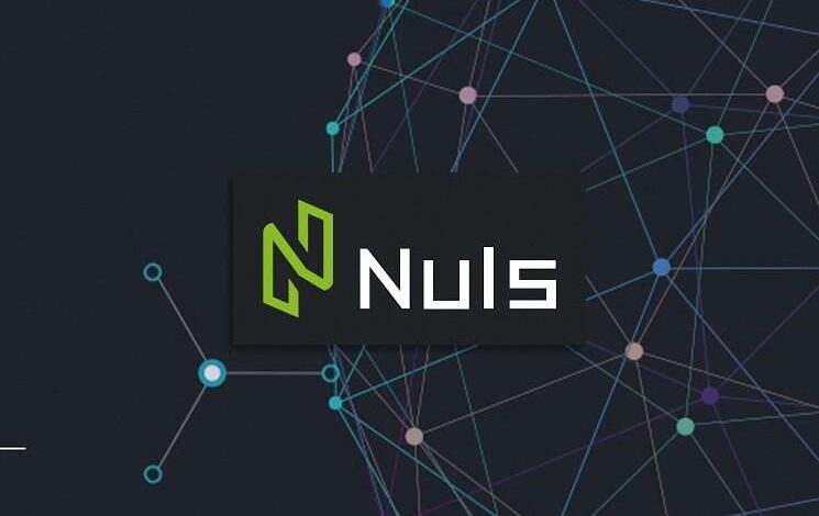 Nuls là gì? Tổng quan về đồng tiền ảo kỹ thuật số Nuls Coin (NULS)