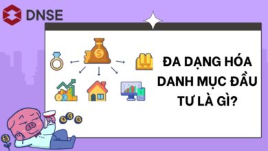 Đa dạng hóa danh mục đầu tư là gì? Lưu ý khi đa dạng hóa danh mục