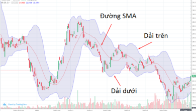 Bollinger band là gì? 3 cách sử dụng hiệu quả nhất