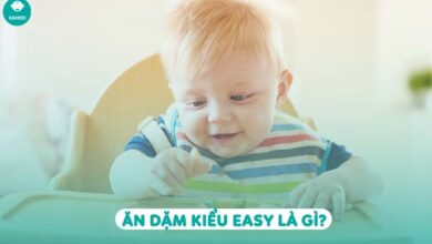 Phương pháp EASY là gì? Có nên cho bé ăn dặm kiểu EASY