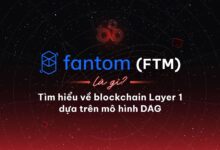 Fantom (FTM) là gì? Tìm hiểu về blockchain Layer 1 dựa trên mô hình DAG