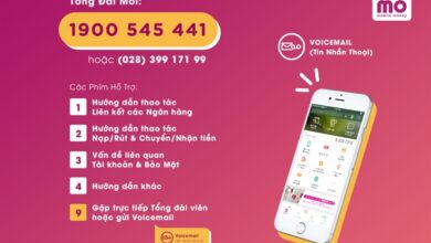 Hướng dẫn liên hệ tổng đài Momo, hotline hỗ trợ CSKH 24/7