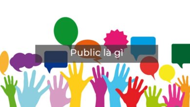 Public có nghĩa là gì? Tổng quan một số thông tin cơ bản về Public mà bạn cần biết