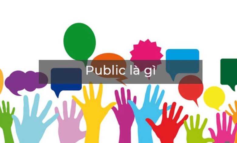 Public có nghĩa là gì? Tổng quan một số thông tin cơ bản về Public mà bạn cần biết