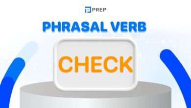 Tổng hợp một số Phrasal verb Check thông dụng trong tiếng Anh!