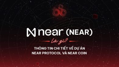 Near Protocol (NEAR) là gì? Thông tin chi tiết về dự án Near Protocol và NEAR coin