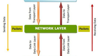 Network Layer (Lớp mạng) – Lớp thứ 3 trong mô hình OSI có chức năng gì?