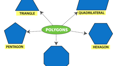 Polygon