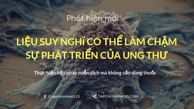 Suy nghĩ có thể làm chậm sự phát triển ung thư