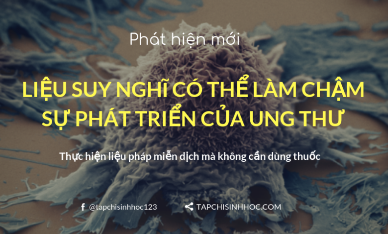 Suy nghĩ có thể làm chậm sự phát triển ung thư