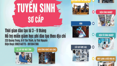 Sơ cấp nghề là gì ? Thủ tục đăng ký xét tuyển sơ cấp nghề?