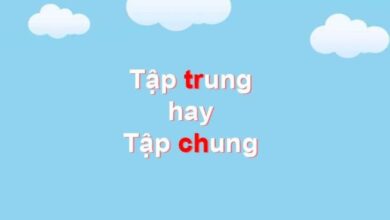 Viết tập trung hay tập chung? Từ nào mới đúng ngữ pháp