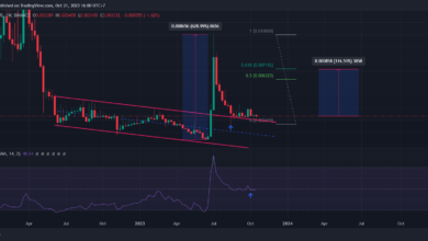 Verge (XVG) sẽ được đào hết 100% trong 2 ngày nữa, giá sẽ phản ứng thế nào?