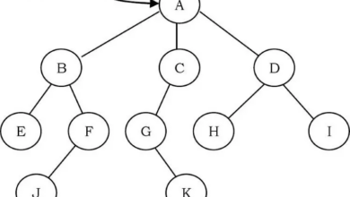 Chương 6: TREES - 1. Tree là gì? Lý thuyết về Binary Tree.