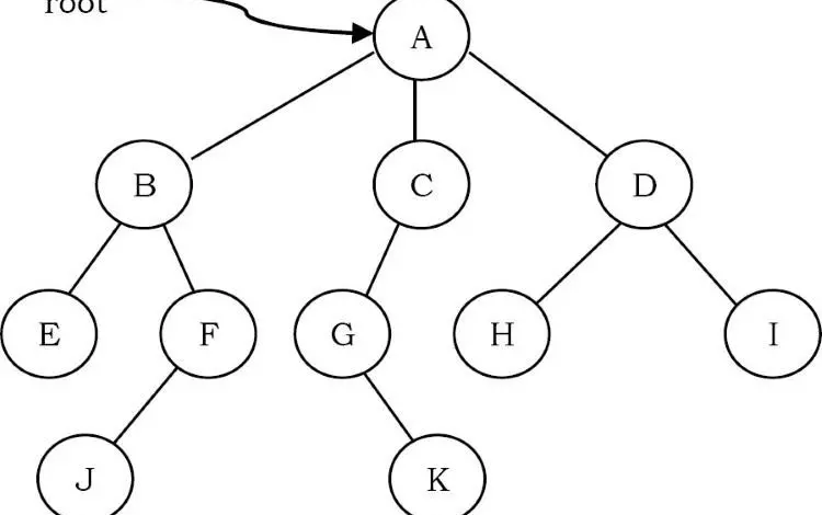 Chương 6: TREES - 1. Tree là gì? Lý thuyết về Binary Tree.