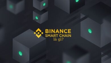 Binance Smart Chain Là Gì? Top 3 Dự Án BSC Hot Nhất 2022