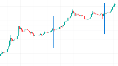 Bitcoin Halving Clock