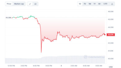 Bitcoin bất ngờ 'sập gầm' trong chưa đầy 24h, liệu có phải báo động?