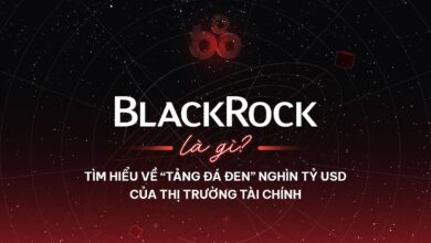 BlackRock là gì? Tìm hiểu về “tảng đá đen” nghìn tỷ USD của thị trường tài chính