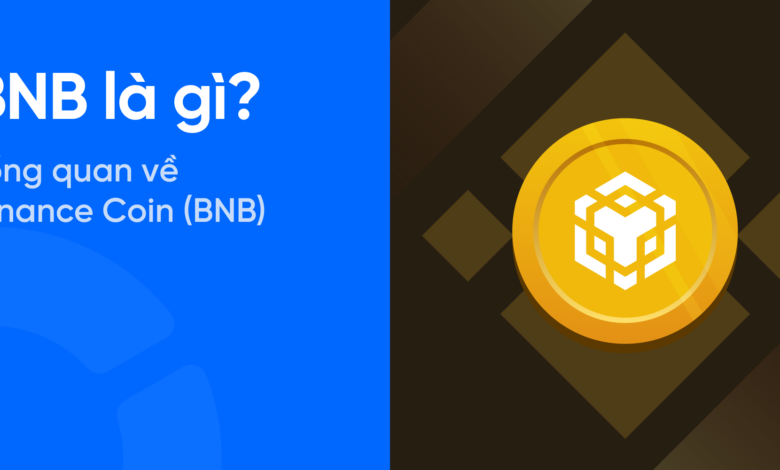 BNB là gì? Tổng quan về hệ sinh thái Binance và Binance coin (BNB) mới nhất 2024