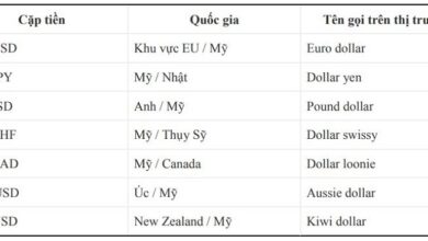 Các thuật ngữ trong forex quan trọng trader cần biết