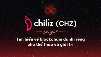 Chiliz (CHZ) là gì? Tìm hiểu về dự án blockchain dành riêng cho thể thao và giải trí