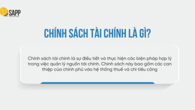 ​​​​​​​Chính Sách Tài Chính Là Gì? Mục Tiêu Và Vai Trò Trong Nền Kinh Tế