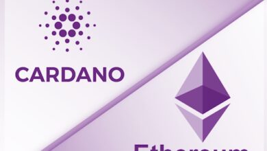 Cardano (ADA) là gì? Thông tin chi tiết về đồng ADA coin