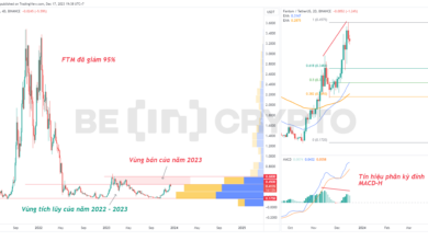 Fantom (FTM) có phải Altcoin giá dưới 1 USD đáng để nắm giữ năm 2024?