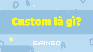 Đánh giá về custom game là gì | Sen Tây Hồ