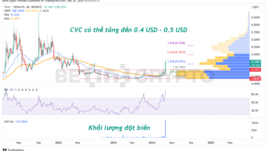 Civic (CVC) pump mạnh 175% và những lý do đằng sau