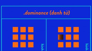 Dominance in Design