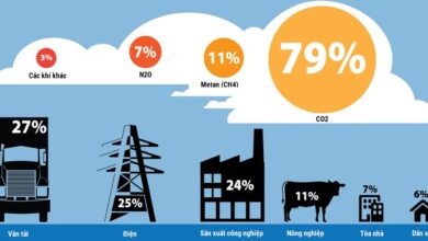 Khí nhà kính (Green House Gas) là gì? Cách giảm phát thải