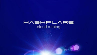 Kế hoạch lừa đảo 570 triệu USD của HashFlare: Sự 'vượt ngục' của những kẻ chủ mưu