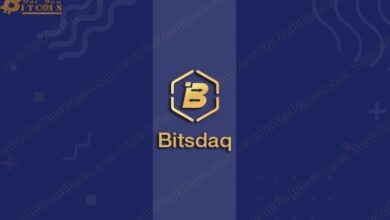 Bitsdaq Token là gì? Thông tin chi tiết và Hướng dẫn mua token IEO BQQQ trên sàn Bitsdaq