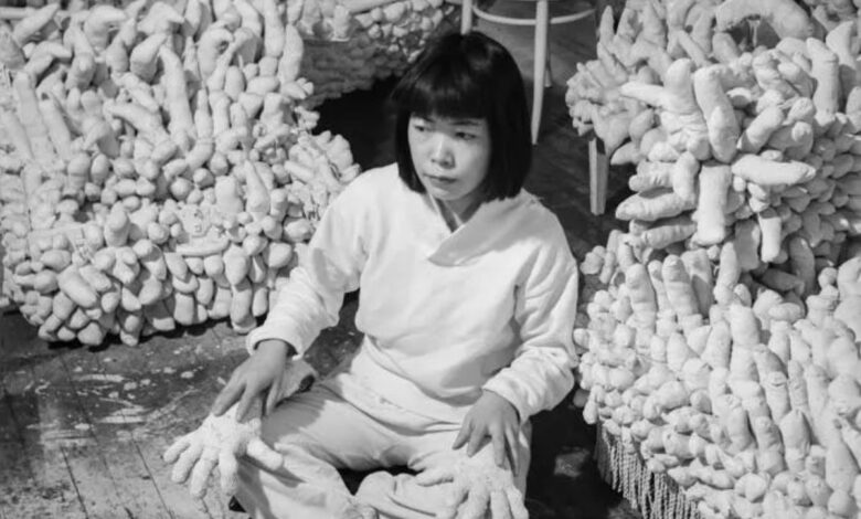 “Nữ hoàng chấm bi” Yayoi Kusama và “mối tình sâu sắc” với Thiên nhiên