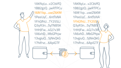 Monero (XMR) là gì? Tìm hiểu về dự án ẩn danh top 1 Monero và XMR coin