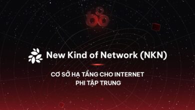 New Kind of Network (NKN) - Dự án cơ sở hạ tầng cho Internet phi tập trung